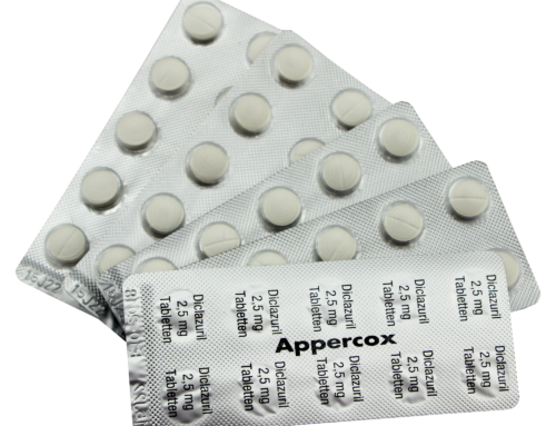 Speciale tip voor postduiven – Appercox tabletten tegen coccidiose
